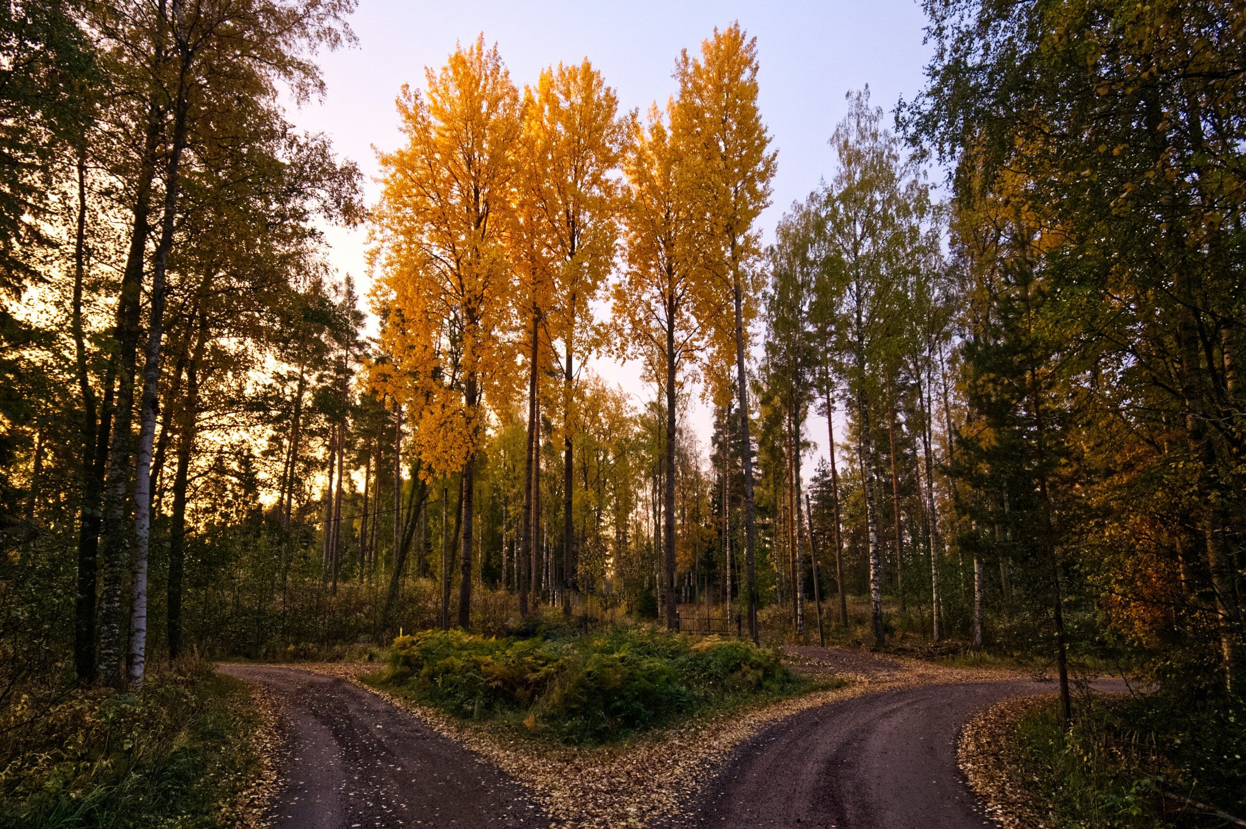 doing the right thing and wrong thing choice road